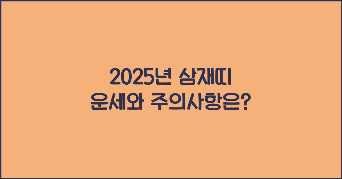 2025년 삼재띠