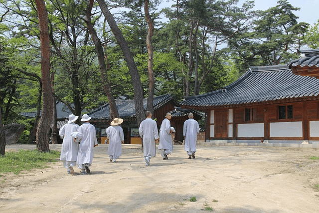 지역 전통무용의 차이