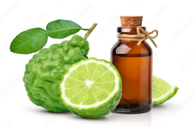 베르가못 오일 효능 15가지 및 베르가못 오일 향 사용법 정리