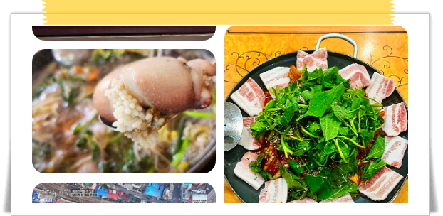 전현무계획2 인천 쭈꾸미냉이샤부샤부 쭈꾸미볶음 후기