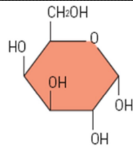 갈락토오스 화학구조 6각형