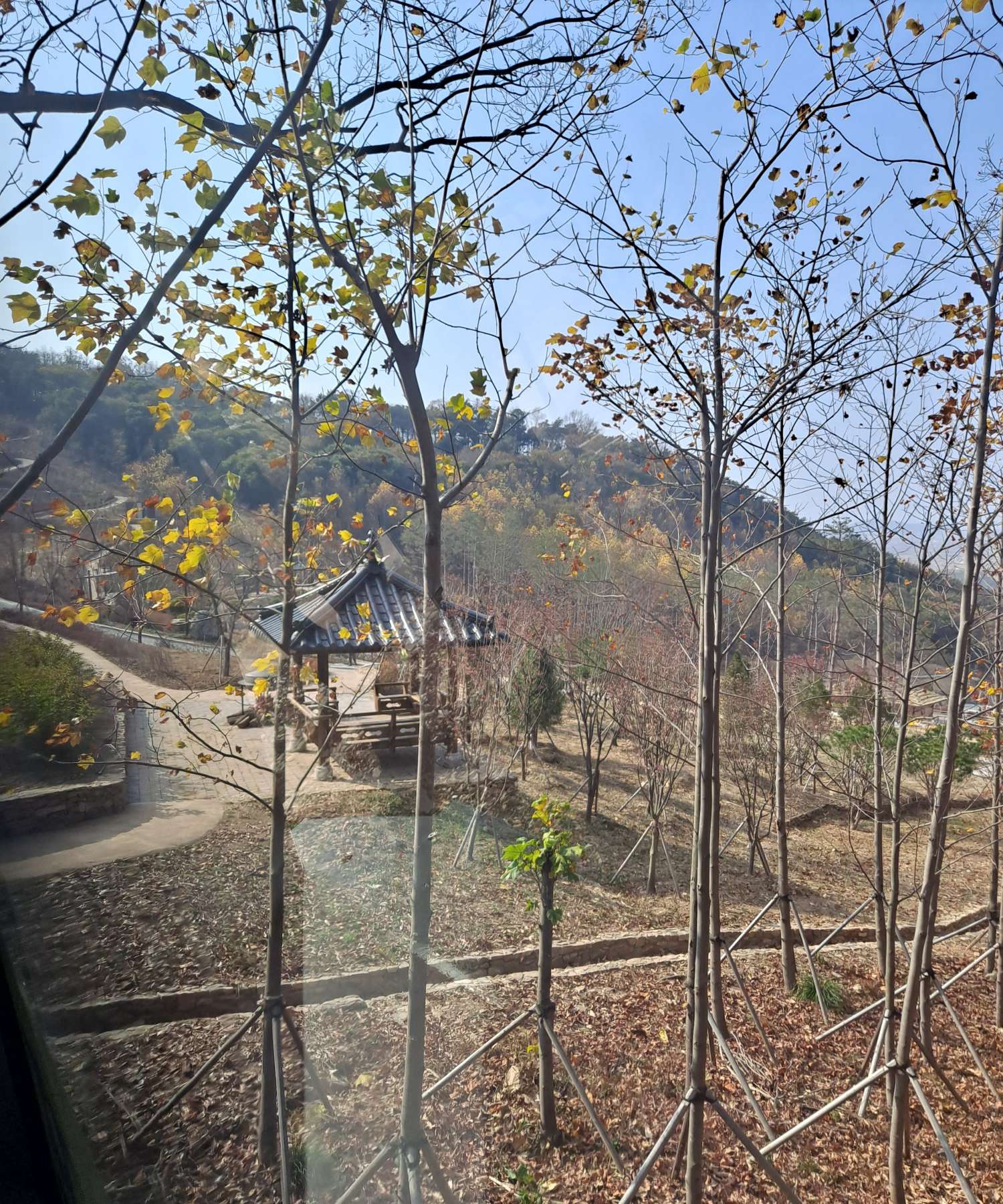 화개정원 정자가 보여요