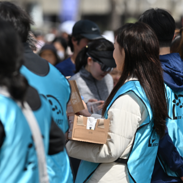 2025 서울마라톤 겸 제95회 동아마라톤 &ndash; 일정&amp;#44; 접수 방법&amp;#44; 코스 총정리