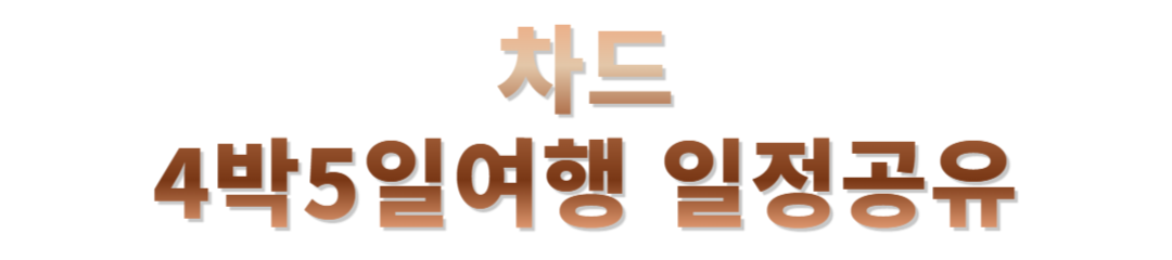아프리카 차드 여행후기