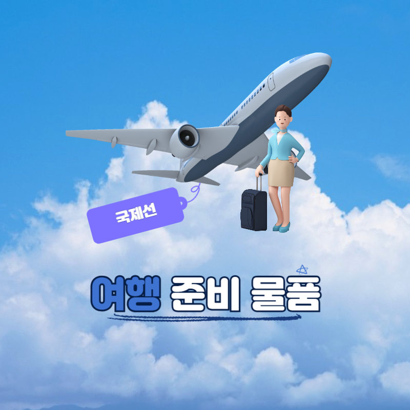 국제선 항공 여행 준비물