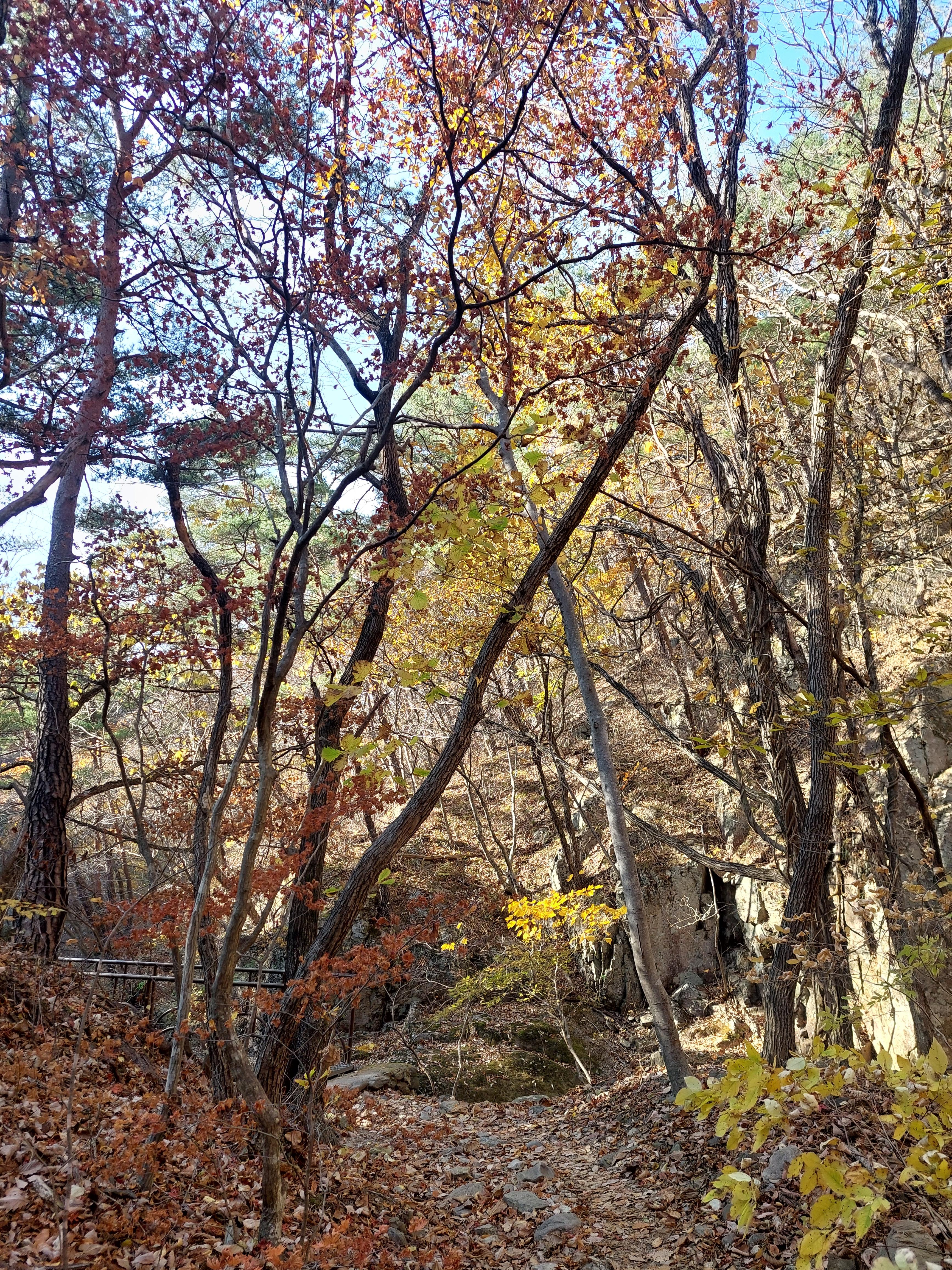 주왕산