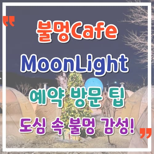 용인 불멍카페 문라이트 예약 도심 속 불멍 감성 완벽 힐링