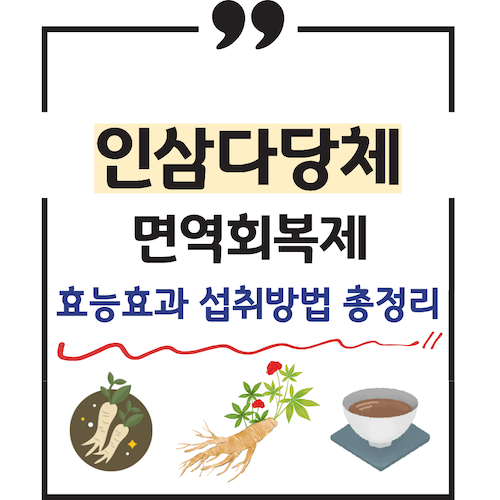 인삼다당체 효능 섭취방법 주의사항 몸신의 탄생