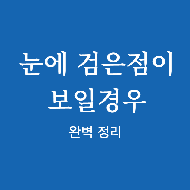 눈에 검은점이 보일경우 ❘ 확인