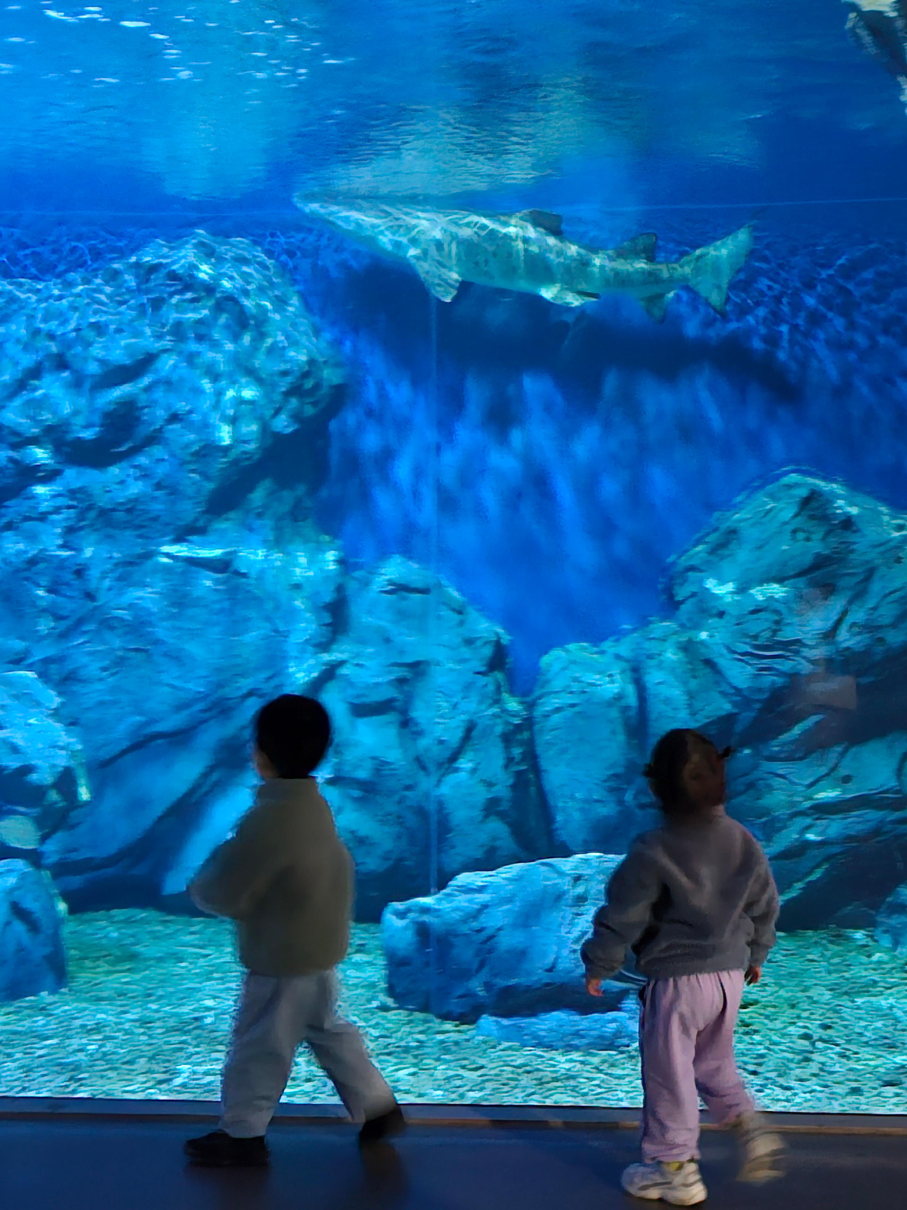 아쿠아 플라넷 여수