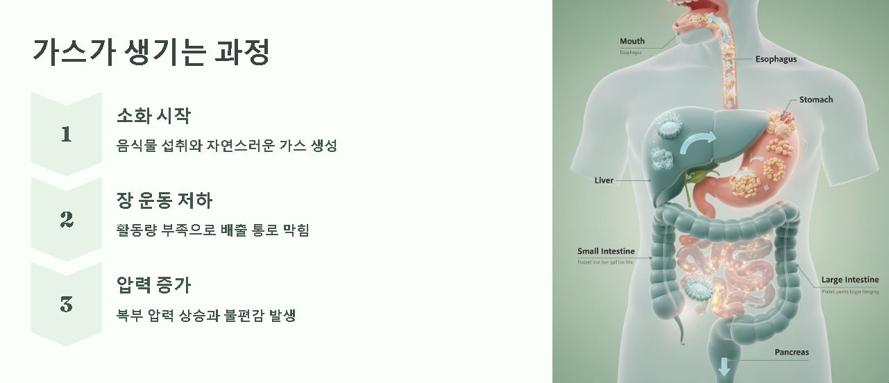 배에 가스차고 복부팽만 통증