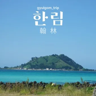 제주 협재 맛집 추천 카페와 브런치 맛집 포함_3