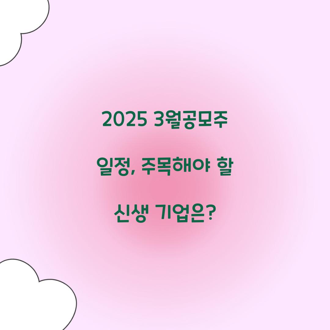 2025 3월공모주