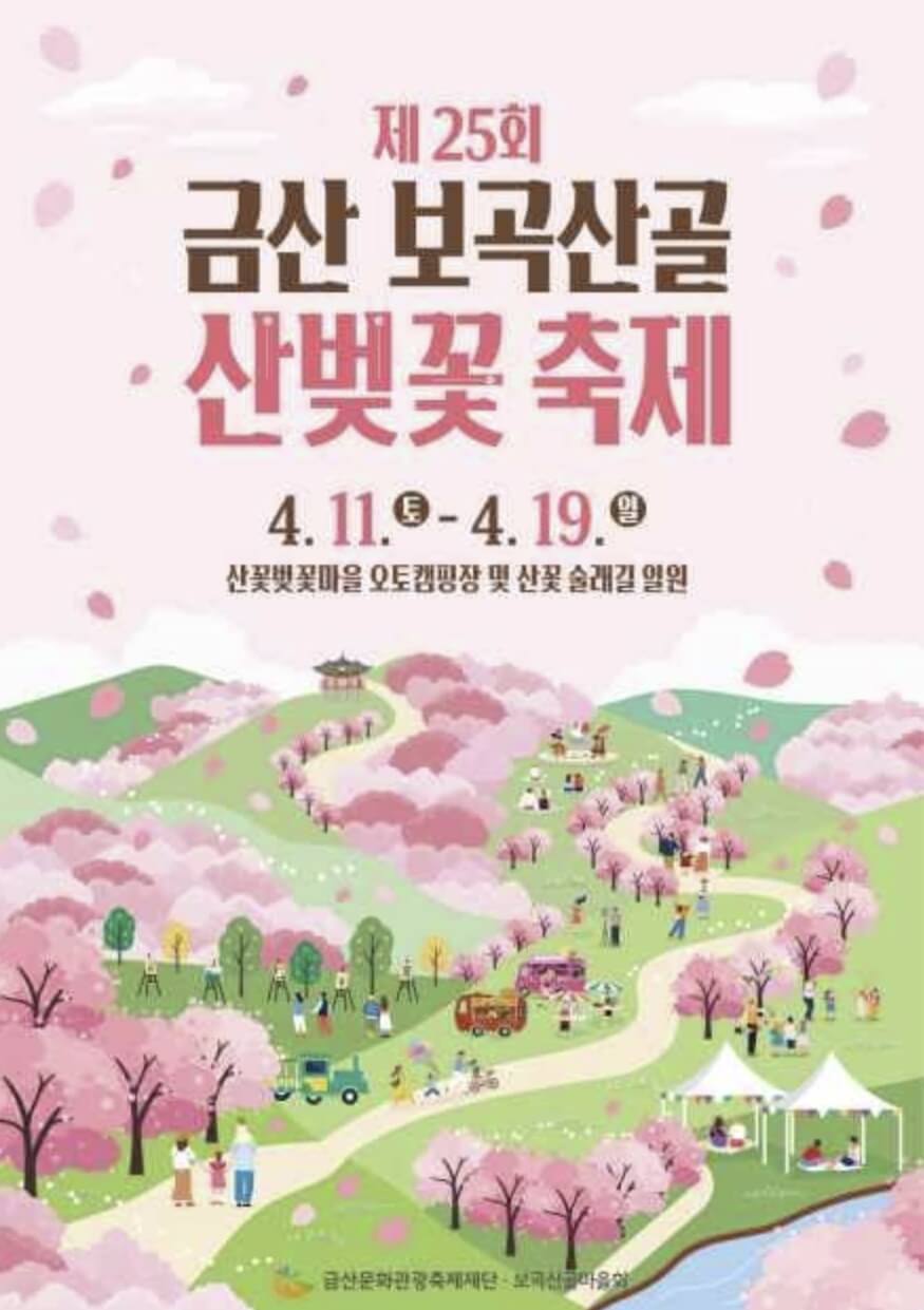 금산 보곡산골 산벚꽃 축제 2026 완벽 가이드