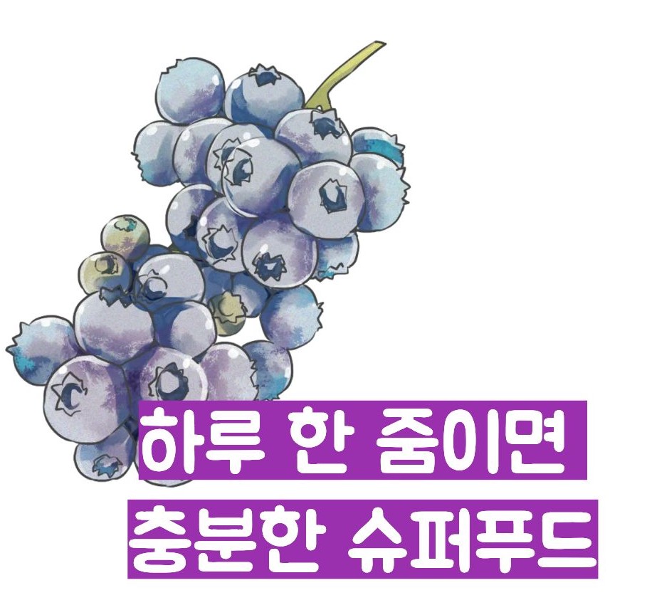 블루베리 효능 부작용