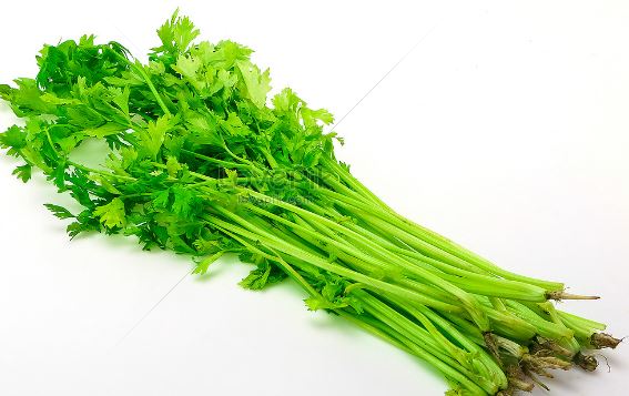 미세먼지에 좋은 음식