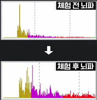 포스파티딜세린 효능
