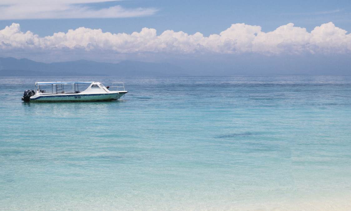 코타키나발루 반딧불 투어의 매력