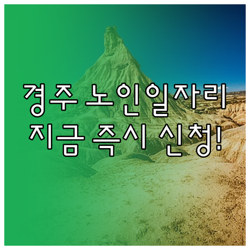 경주 노인 일자리 신청 절차와 시니어..