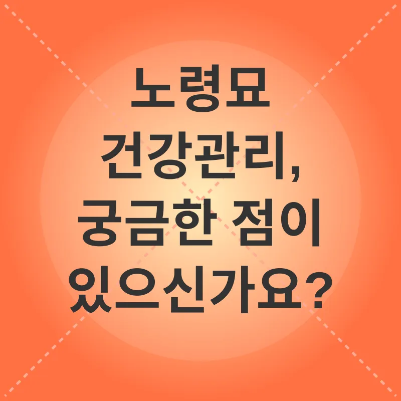 노령묘 건강관리_4