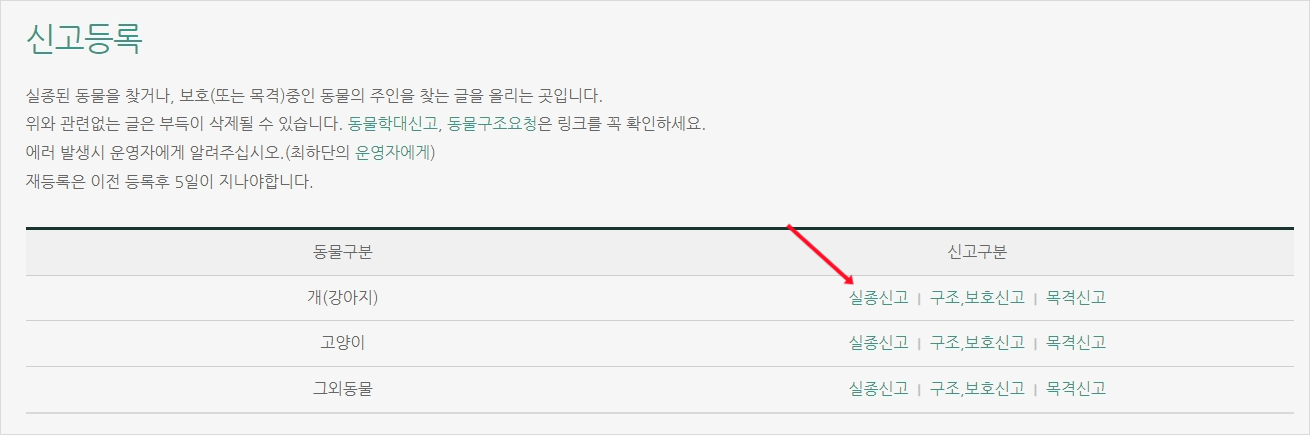 강아지 잃어버렸을때