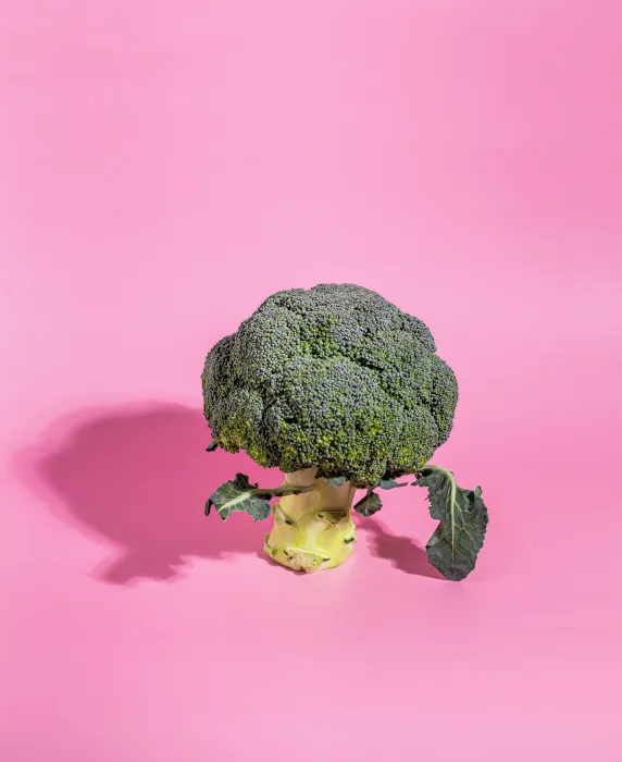 멜라토닌-많은-음식-브로콜리