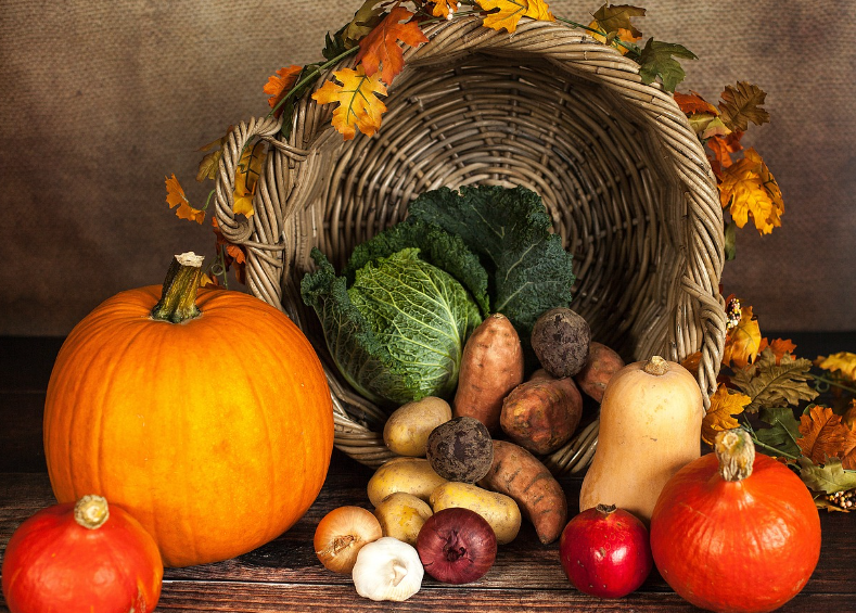 채식주의를 위한 원칙