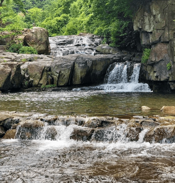 대구-비슬산계곡