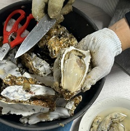 고성삼베체굴요리