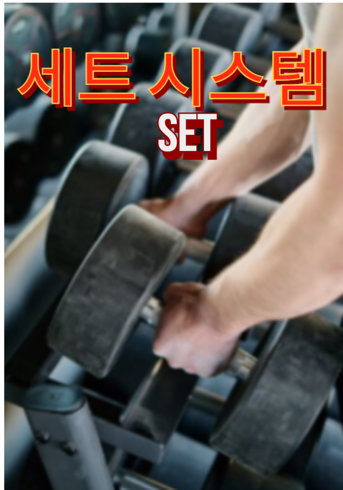 1.세트 시스템 (Set)