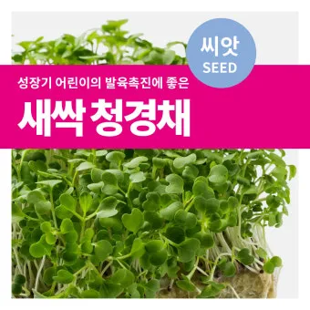 &amp;quot;청경채