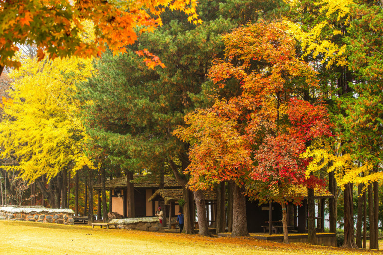 설악산 케이블카 예약