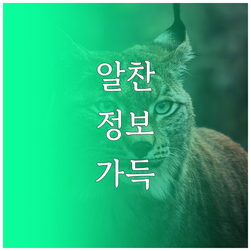 내 아이디어로 농촌 살리기 청년 창업..