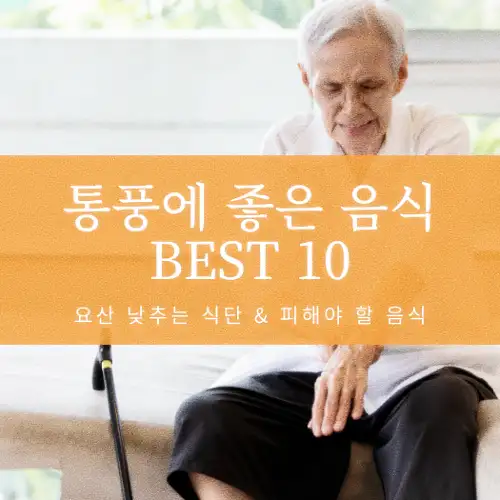 통풍에 좋은 음식 BEST 10
