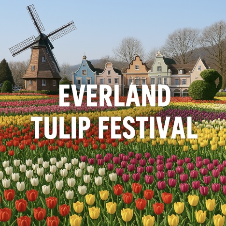 에버랜드 튤립축제