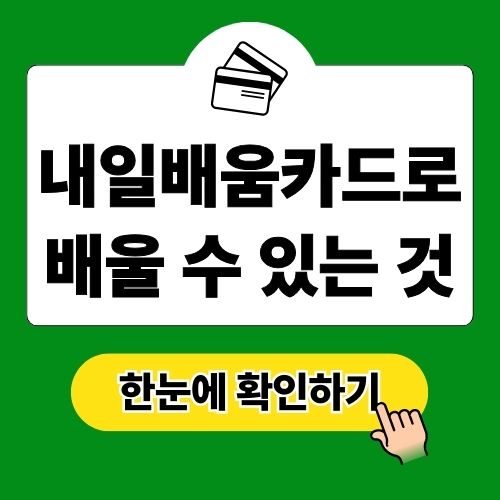 내일배움카드로 배울수있는것