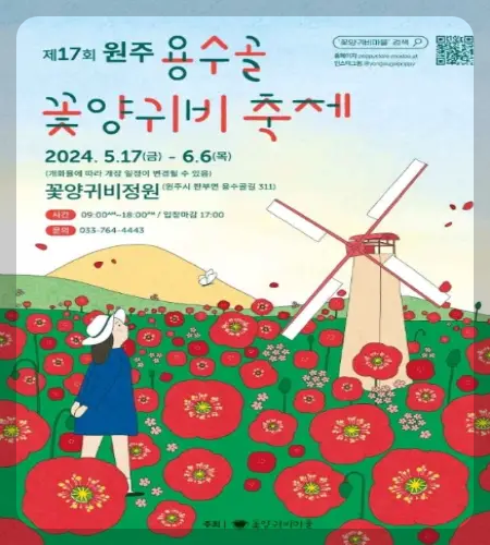 원주 용수골 꽃양귀비 축제_1