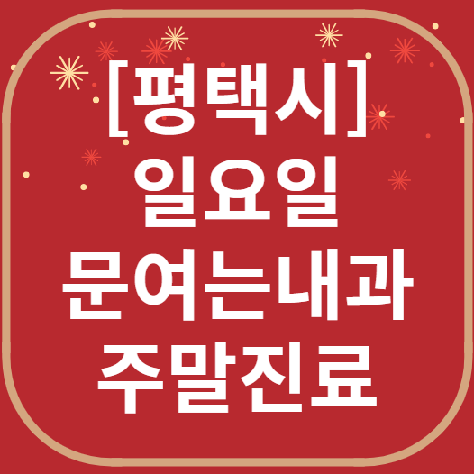 평택 일요일 문 여는 내과 리스트 ❘ 토요일 주말 휴일 야간진료 병원 찾기