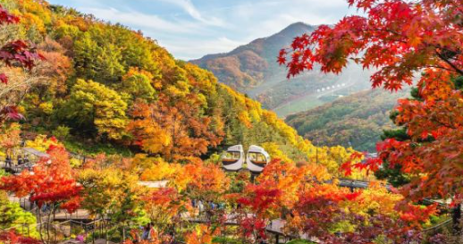 화담숲 예약 3분만에 성공하는 꿀팁