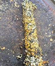 만두전골볶음밥