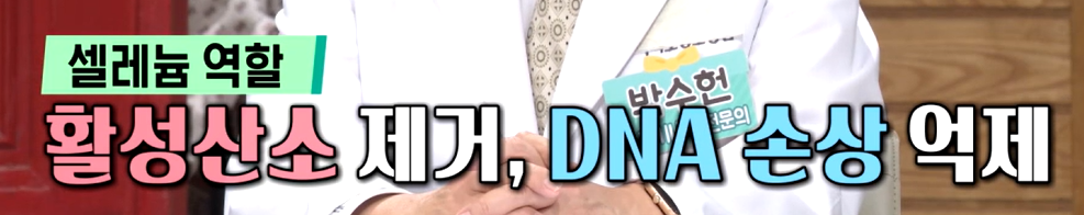 카무트 효소 효능