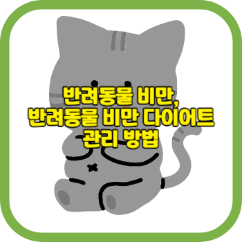 반려동물 비만, 반려동물 비만 다이어트 관리 방법