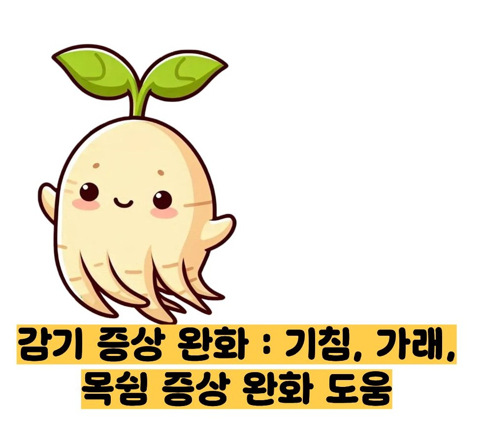 도라지청의 효능