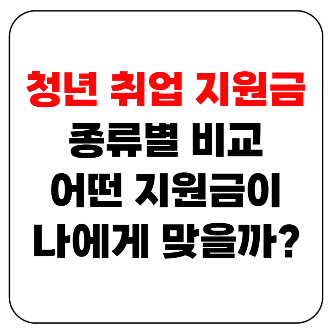 청년 취업 지원금 종류별 비교 : 어떤 지원금이 나에게 맞을까?