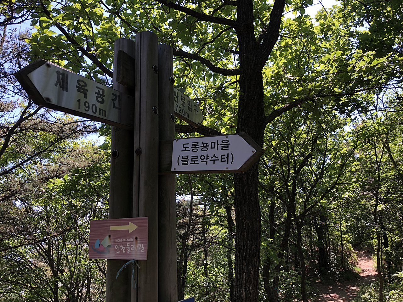 도롱뇽마을(불로약수터)