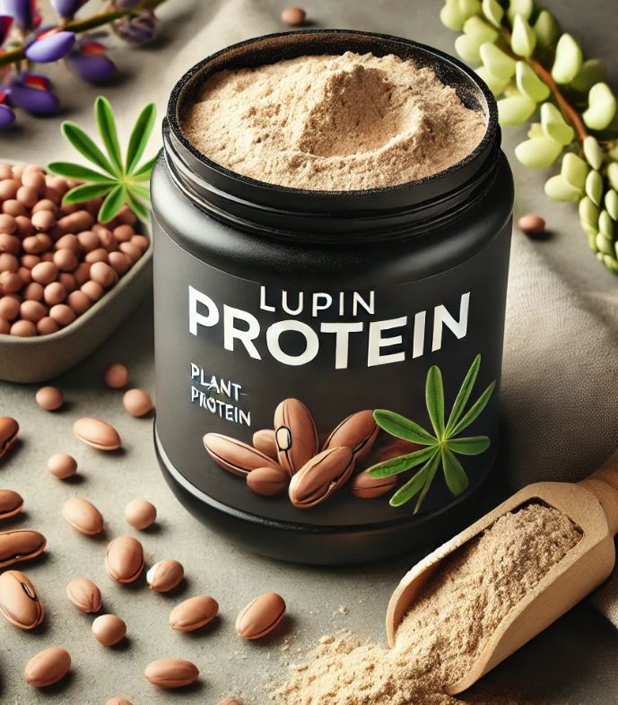 루핀콩 단백질 그림