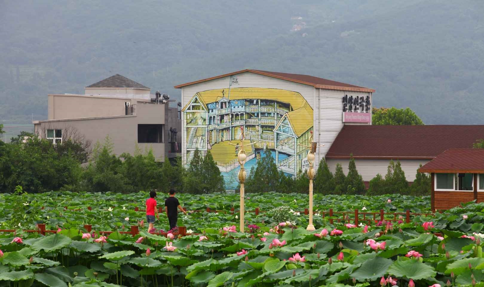 밀양 연꽃단지