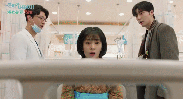 진짜가 나타났다 등장인물