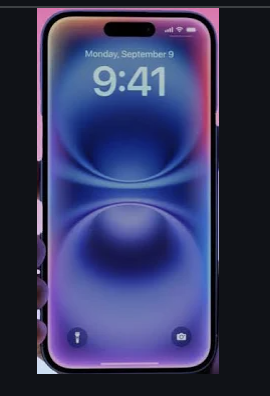 번호이동 신청이력 없습니다 오류 해결법