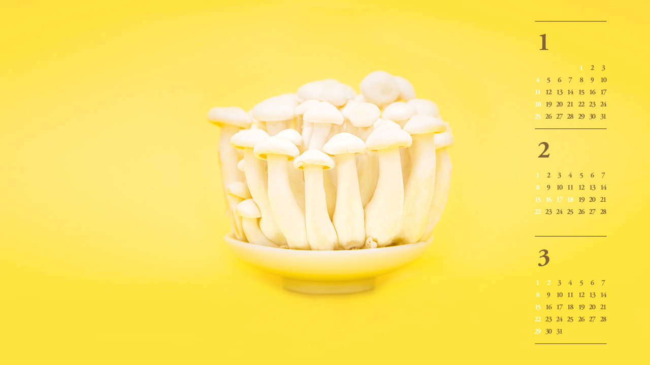 03 버섯 B - 2026년2월 달력배경화면